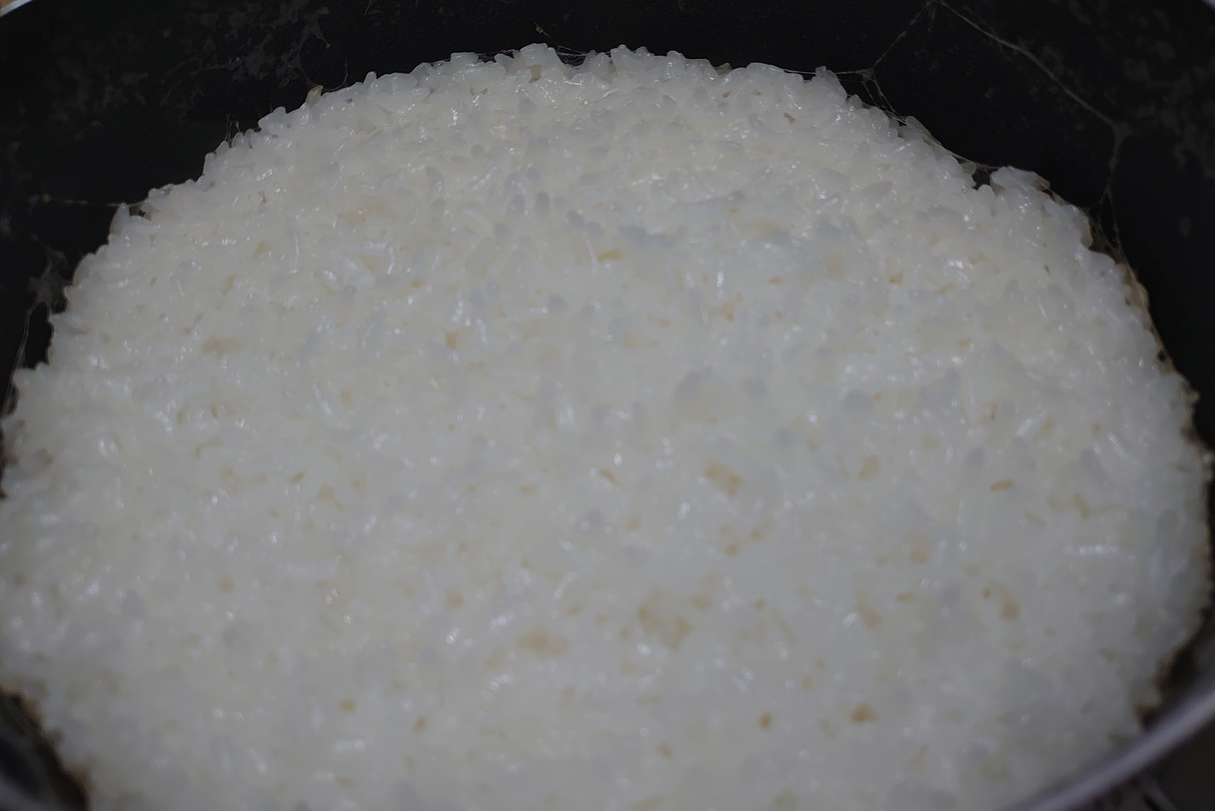 how_to_cook_rice_in_a_pot_006